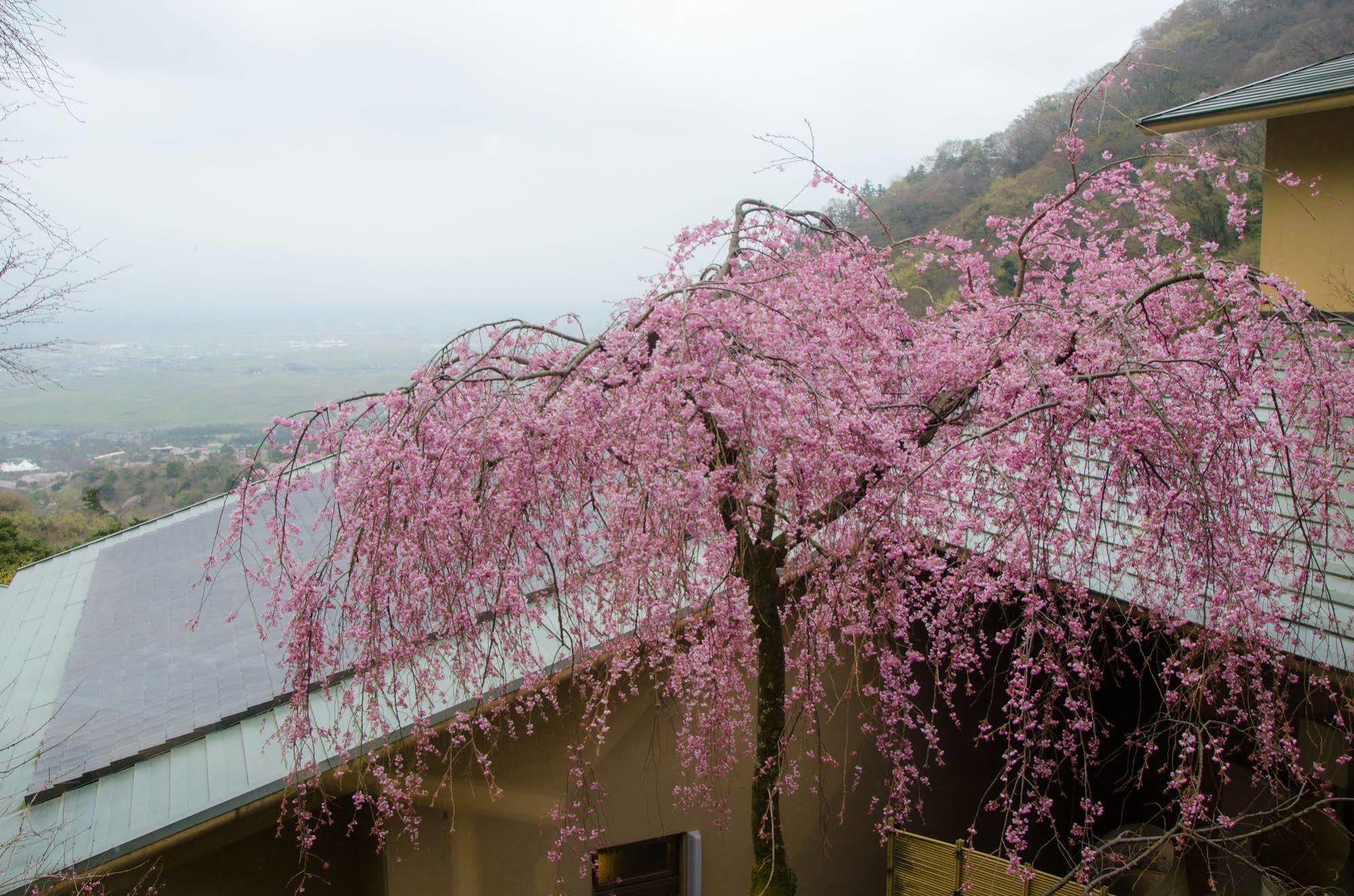 ทากิโมโตะกัง ยูกิโนะซาโตะ โฮเต็ล Hotel Yoro  ภายนอก รูปภาพ